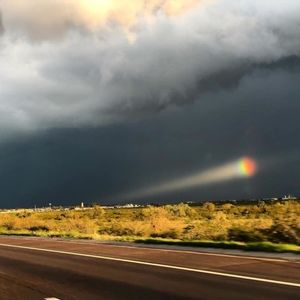 Meet your Posher, Gary